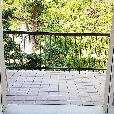 Le Pleiadi Hotel Bellaria-Igea Marina